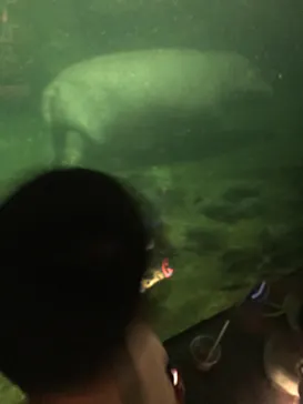 天王寺動物園に投稿された画像（2021/8/21）