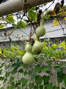 江戸東京たてもの園に投稿された画像（2021/8/21）