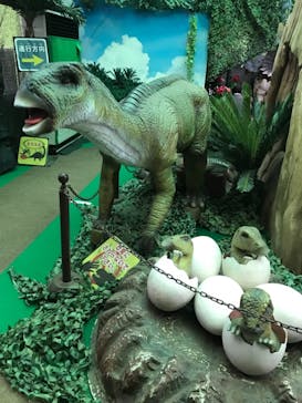 千葉こどもの国 キッズダムに投稿された画像（2021/8/21）