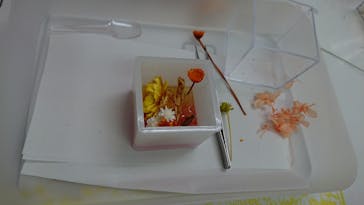 ずこうしつ〜sugamo〜に投稿された画像（2021/8/21）