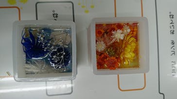 ずこうしつ〜sugamo〜に投稿された画像（2021/8/21）