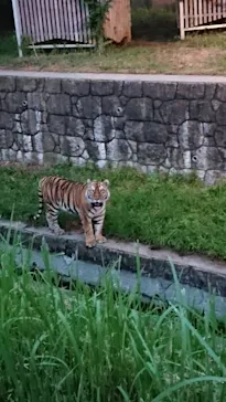 天王寺動物園に投稿された画像（2021/8/21）