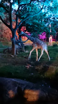 天王寺動物園に投稿された画像（2021/8/21）