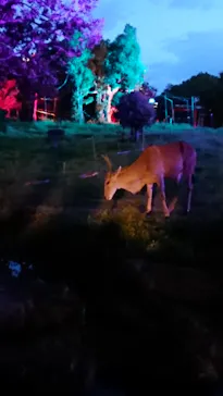 天王寺動物園に投稿された画像（2021/8/21）