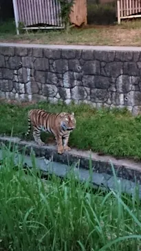 天王寺動物園に投稿された画像（2021/8/21）