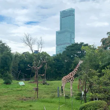 天王寺動物園に投稿された画像（2021/8/21）