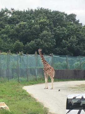 那須サファリパークに投稿された画像（2021/8/21）