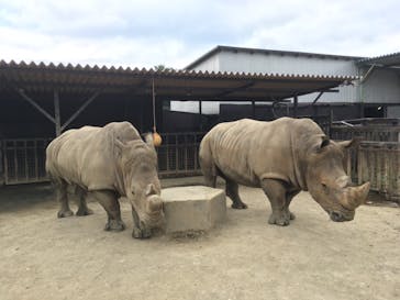 那須サファリパークに投稿された画像（2021/8/21）