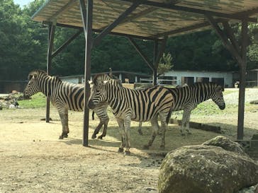 那須サファリパークに投稿された画像（2021/8/21）