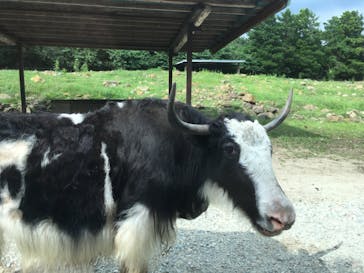那須サファリパークに投稿された画像（2021/8/21）