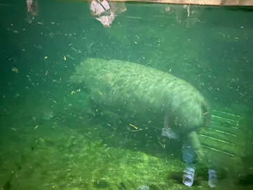 天王寺動物園に投稿された画像（2021/8/21）