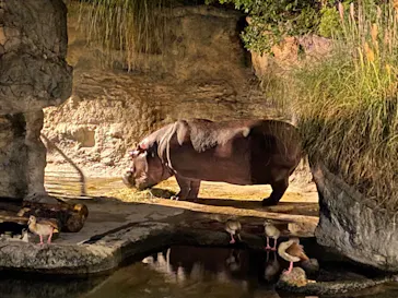 天王寺動物園に投稿された画像（2021/8/21）