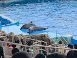 名古屋港水族館に投稿された画像（2021/8/21）