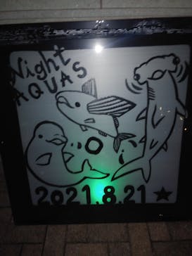 島根県立 しまね海洋館に投稿された画像（2021/8/21）