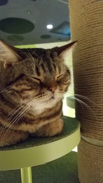 Moff animal world MARK IS みなとみらい店に投稿された画像（2021/8/21）