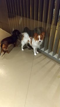 Moff animal world MARK IS みなとみらい店に投稿された画像（2021/8/21）