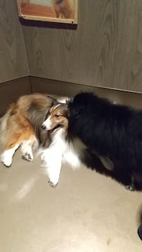 Moff animal world MARK IS みなとみらい店に投稿された画像（2021/8/21）