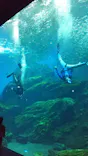 仙台うみの杜水族館に投稿された画像（2021/8/21）