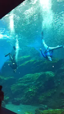 仙台うみの杜水族館に投稿された画像（2021/8/21）
