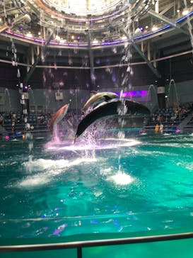 マクセル アクアパーク品川に投稿された画像（2021/8/21）