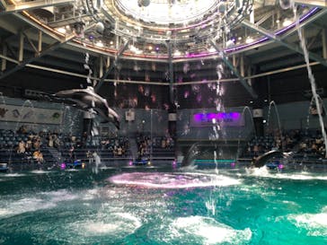 マクセル アクアパーク品川に投稿された画像（2021/8/21）