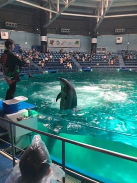 マクセル アクアパーク品川に投稿された画像（2021/8/21）