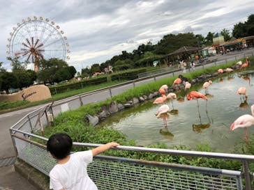 東武動物公園に投稿された画像（2021/8/21）