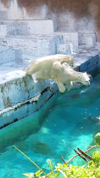 天王寺動物園に投稿された画像（2021/8/4）