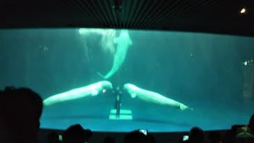 島根県立 しまね海洋館に投稿された画像（2021/8/21）