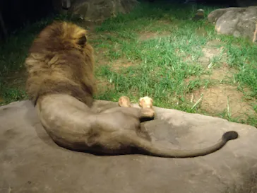 天王寺動物園に投稿された画像（2021/8/21）