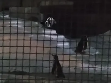 天王寺動物園に投稿された画像（2021/8/21）