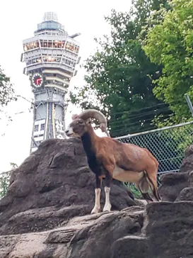 天王寺動物園に投稿された画像（2021/8/21）