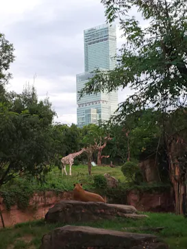 天王寺動物園に投稿された画像（2021/8/21）