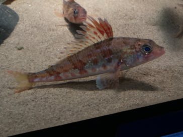 湘南モノレール大船駅に投稿された画像（2021/8/21）