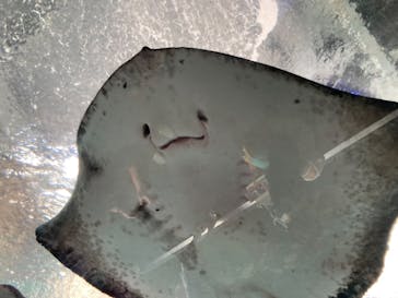 湘南モノレール大船駅に投稿された画像（2021/8/21）