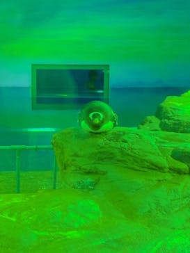 島根県立 しまね海洋館に投稿された画像（2021/8/21）