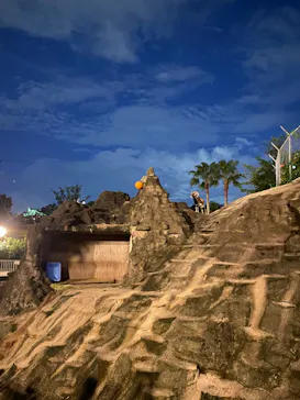 天王寺動物園に投稿された画像（2021/8/21）