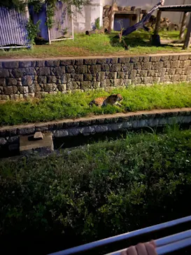 天王寺動物園に投稿された画像（2021/8/21）