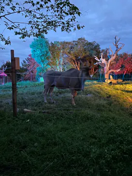 天王寺動物園に投稿された画像（2021/8/21）