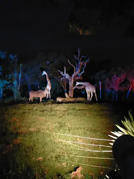 天王寺動物園に投稿された画像（2021/8/21）