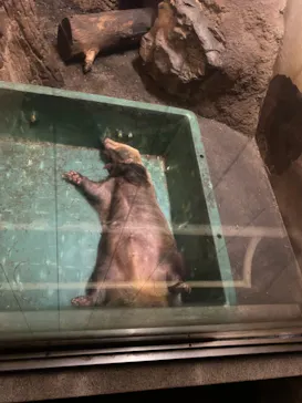 天王寺動物園に投稿された画像（2021/8/21）