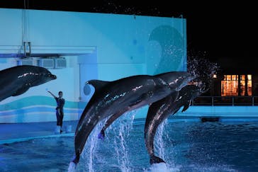 南知多ビーチランド＆南知多おもちゃ王国に投稿された画像（2021/8/21）