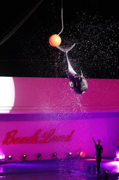 南知多ビーチランド＆南知多おもちゃ王国に投稿された画像（2021/8/21）