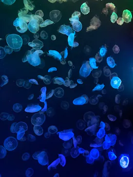 すみだ水族館に投稿された画像（2021/8/21）