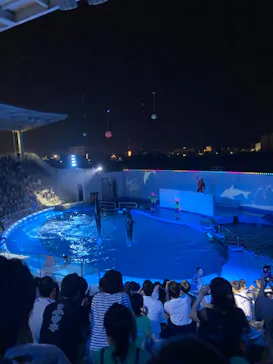 仙台うみの杜水族館に投稿された画像（2021/8/21）