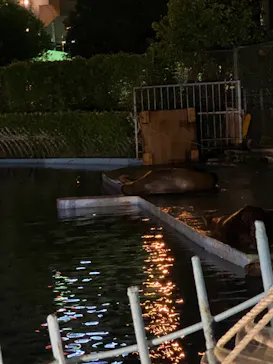 天王寺動物園に投稿された画像（2021/8/21）