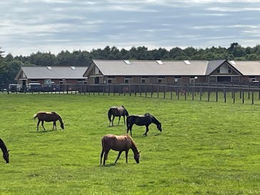 ノーザンホースパークに投稿された画像（2021/8/21）