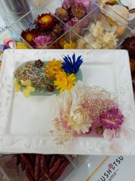 ずこうしつ〜sugamo〜に投稿された画像（2021/8/21）