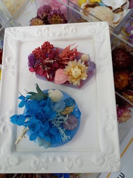 ずこうしつ〜sugamo〜に投稿された画像（2021/8/21）