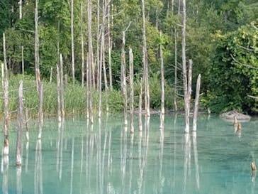 北海道小樽観光 個人はなタクシーに投稿された画像（2021/8/21）